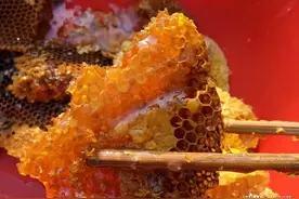 世界最贵蜂蜜产生，1斤超过3.5万元，老外也爱“土蜂蜜”？图片