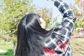 山东相册|花开文昌湖最美四月天图片