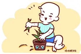 双胞胎一个被送去国际幼儿园，另一个上普通幼儿园，差距有多大？图片