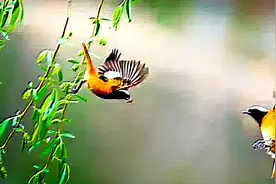 诗词考证：门泊东吴万里船，为何处景观，有何含义图片