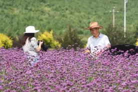 好好学习｜全国乡村旅游重点镇百强揭晓！我省三地入选图片