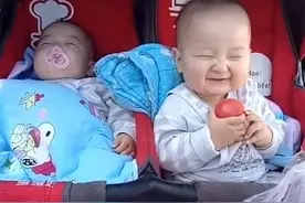 趁双胞胎弟弟正在熟睡中，哥哥偷吃西红柿，网友：表情太嘚瑟图片