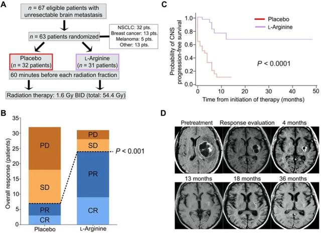 多吃精氨酸，有助抗癌？