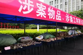 男子老宅被查！打开冰柜，查获野生动物14只、各类野生动物毛皮4894张、野生动物冻肉100余斤图片