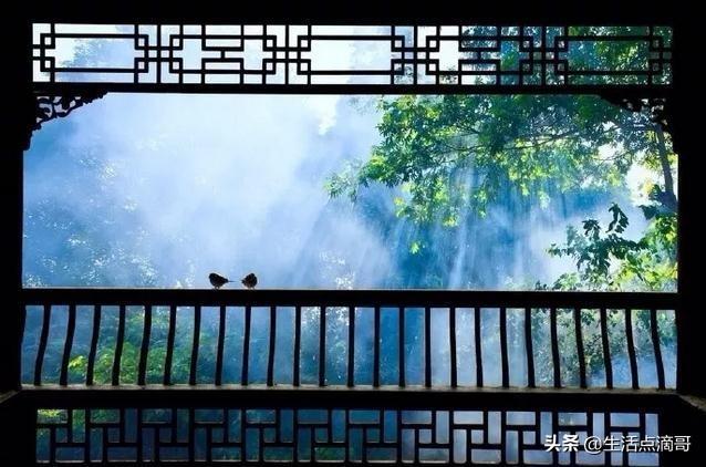 长风破浪会有时，直挂云帆济沧海：60句励志古诗，燃起你的斗志