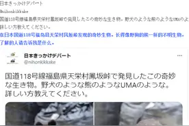 日本网友评论：福岛附近疑似发现可怕的变异生物图片