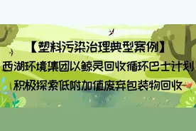 「塑料污染治理典型案例」蓝“鲸灵”们来回收奶茶杯、塑料餐盒啦~只要你有，他们都收图片