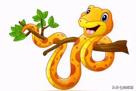 农村人称其“千足虫”，擅长装死发臭，50元1斤，有啥用？图片