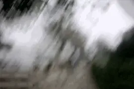我们拼了命，就想让你好好活！图片