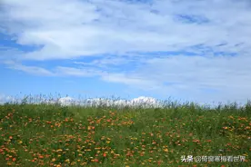 青海湖，全国最大的内陆湖，最壮美的风光图片