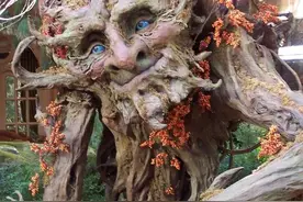 千百年珍宝古树 竟成惊世树精，这绝世深厚功力，服了！图片