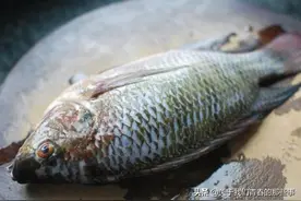 鱼肉去腥，用酒还是用醋？都不好！教你几招，鲜嫩美味，一点不腥图片