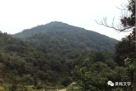 湖北黄梅岳家拳——永不磨灭的爱国情怀图片