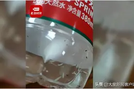 农夫山泉回应未开封矿泉水瓶内有蛆虫：绝不可能，已报警处理图片