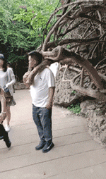 开心一刻｜一个人容易想太多，想太多容易一个人