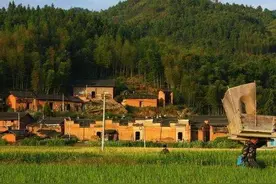 7月起，宅基地证书要发了，名字填写有3大讲究，农民认准了再写！图片