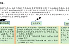 丹皮酚对去卵巢骨质疏松大鼠叉头框蛋白O3a/Wnt信号通路及椎骨密度的影响图片