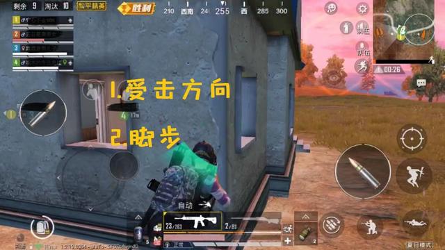 和平精英除树除草除石头（结算前百王牌教你两招快速制敌）