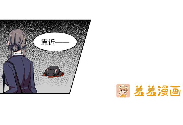 夜路走多了，竟捡到宝，带着巨钻的小黑猫一只