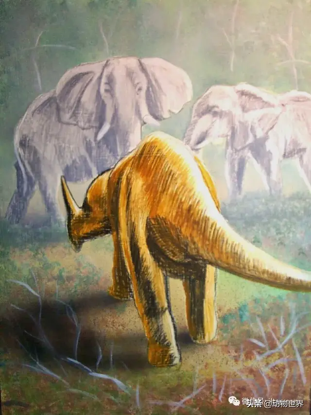 不可思议的神秘动物（四）