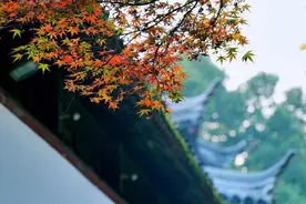 此心只在人心做 说与行人莫误听，十首秋声的诗词，听听秋的声音图片
