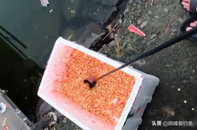 翘嘴鱼怎么去鱼鳞