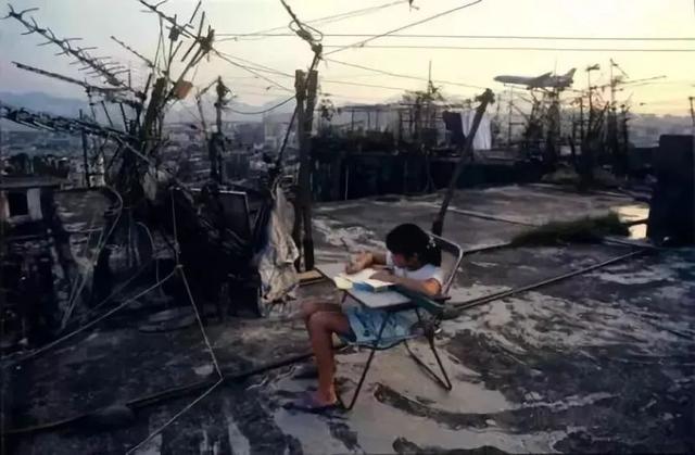 遮天蔽日指哪个生肖