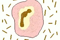 内裤穿多久换？洗洗更健康？6个女性必知的健康真相图片