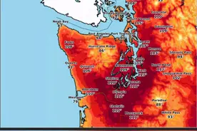 47℃！超强热浪侵袭美国，多地爆发野火，热浪形成的原因是什么？图片