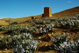 西藏最具文化深度线路 最全攻略 “这些独具魅力的小众景点 你都去过吗？”图片