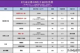 河西也卖不动了？2月南京9次开盘「仅2盘售罄」图片