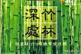 音乐欣赏：葫芦丝DTS环绕声发烧碟《竹林深处》图片
