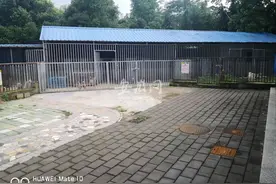 校园流浪犬收容中心“傍”动物医院，皖西学院善待小动物有新招…图片