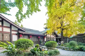 “社区美空间” 成都画院：与城市共造生活美学场景图片