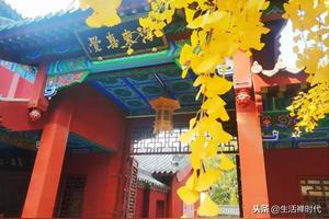 生公讲台|五欲如刀尖上的蜜(2)图