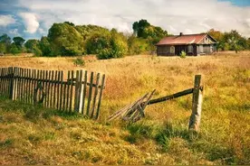农村土地撂荒，农民却外出打工，这种现象还会持续多久？图片