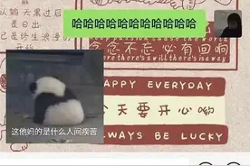 让人好气又好笑的直男回答图片