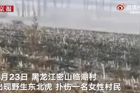 东北虎谁都不怕，除了东北话图片