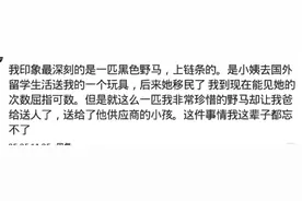 我妈把我养的小猫咪送人了，我气得把她衣服和裤子裙子全剪了图片
