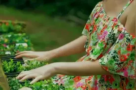 心怀感恩，所遇皆温柔，钢琴《感谢你》图片