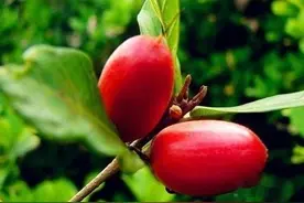 谶纬可抵百万师，从王莽、刘秀称帝，看古代迷信的力量图片