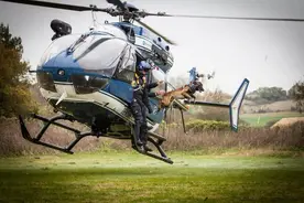 法国国家宪兵特勤队GIGN-K9警犬图片