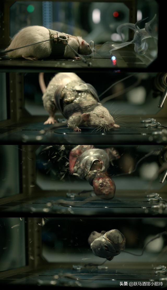 解释一下《异星觉醒》最后的结局