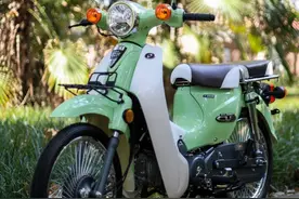 复古弯梁成潮流！国产第3款新车亮相：续航200km，预测7000元以内图片