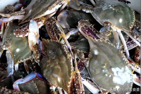 沿海城市最好吃的25种小海鲜，谁来反驳，都不接受图片