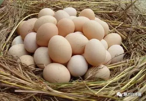 【文化节特辑】为期7天！6月1日-7日 2019·宜秀第三届龙舟文化节农耕体验精彩系列活动看过来！