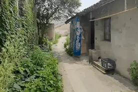 上海闵行浦江镇的无人村，杂草丛生野狗乱叫，村民动迁可能要发财图片