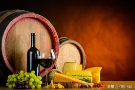 真正的国货之光——贺兰山东麓葡萄酒图片