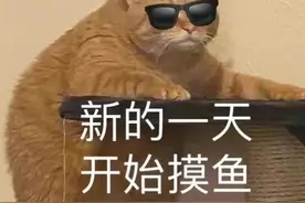 搞笑表情包 | 新的一天，又是摸鱼的一天图片