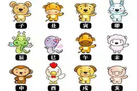 十二生肖为什么没有别的动物图片